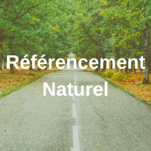 Référencement Naturel - Nomad'Ly