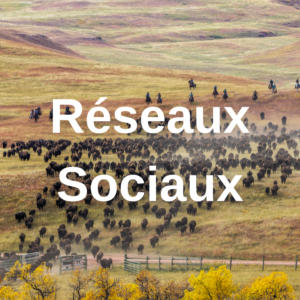 Réseaux Sociaux - Nomad'Ly